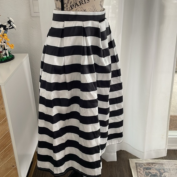 Chicwish Striped Pleated A-line Skirt - Picture 2 of 6